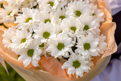 Монобукет из 5 хризантем