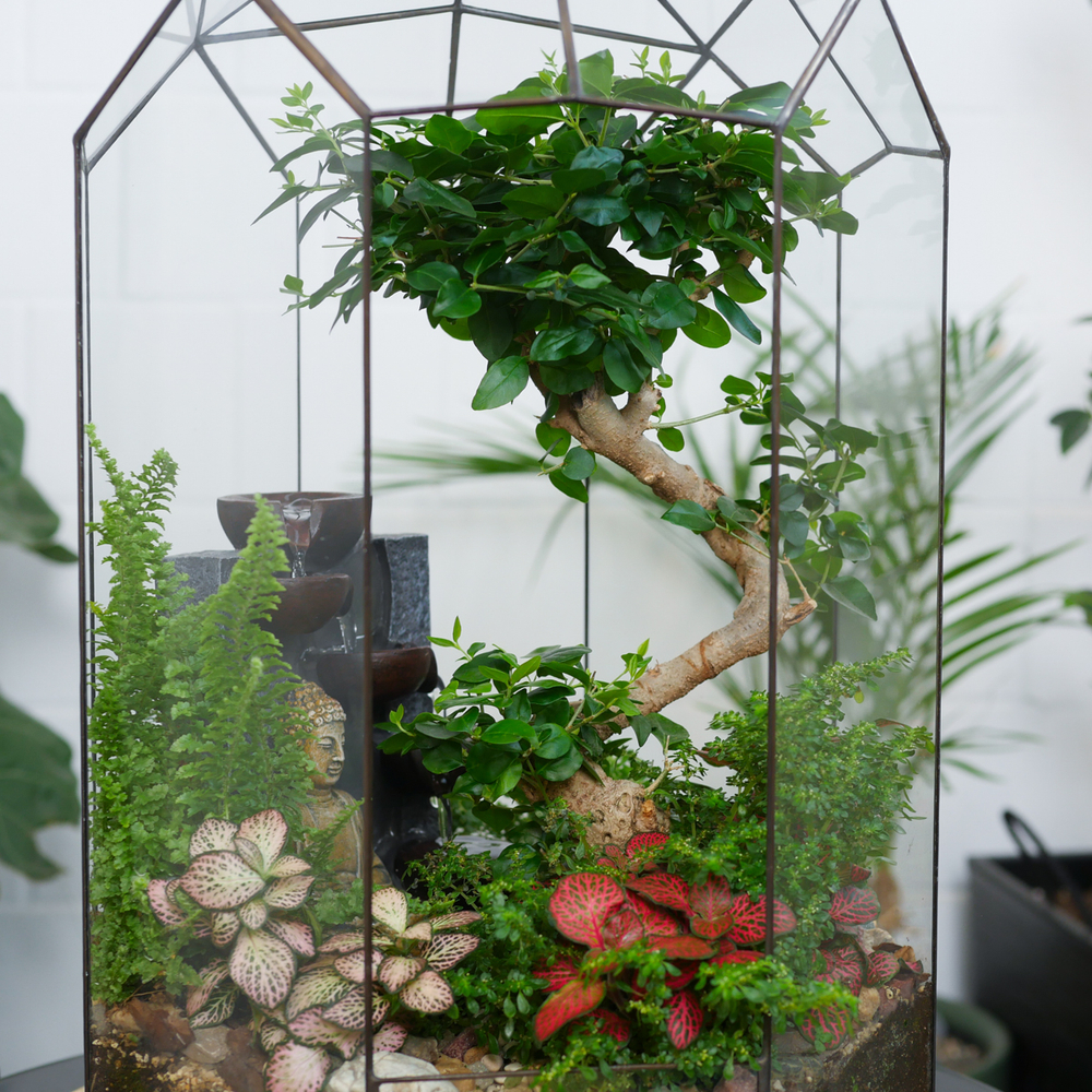 Готовый флорариум бонсай Лигуструм Ботанический сад XL 45см Будда с водопадом