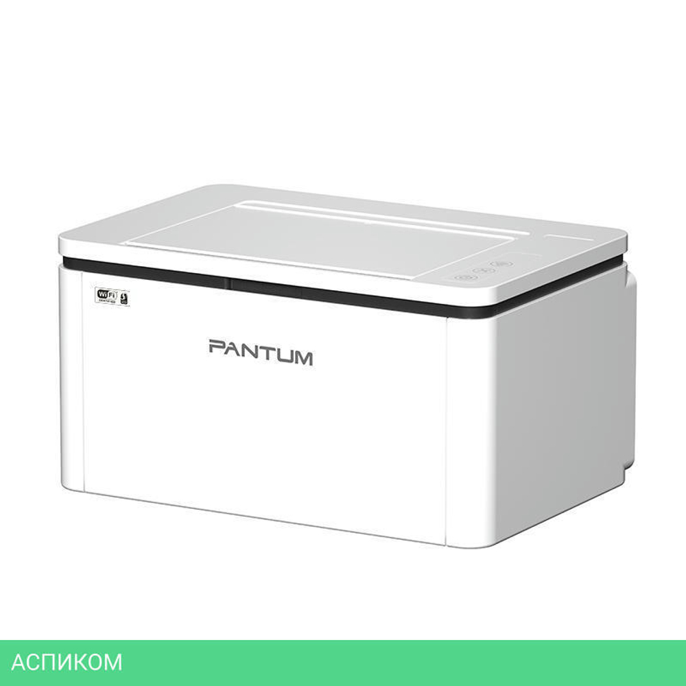 Принтер Pantum BP2300W