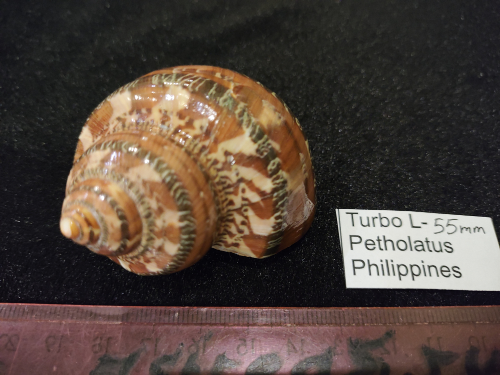 Турбо Петхолатус "50-65мм"