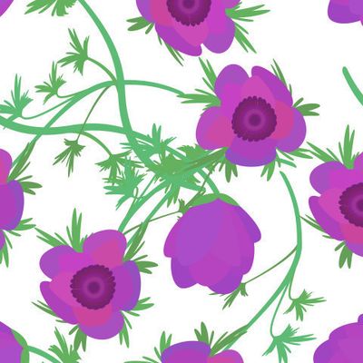 цветы Ветреницы или Анемона