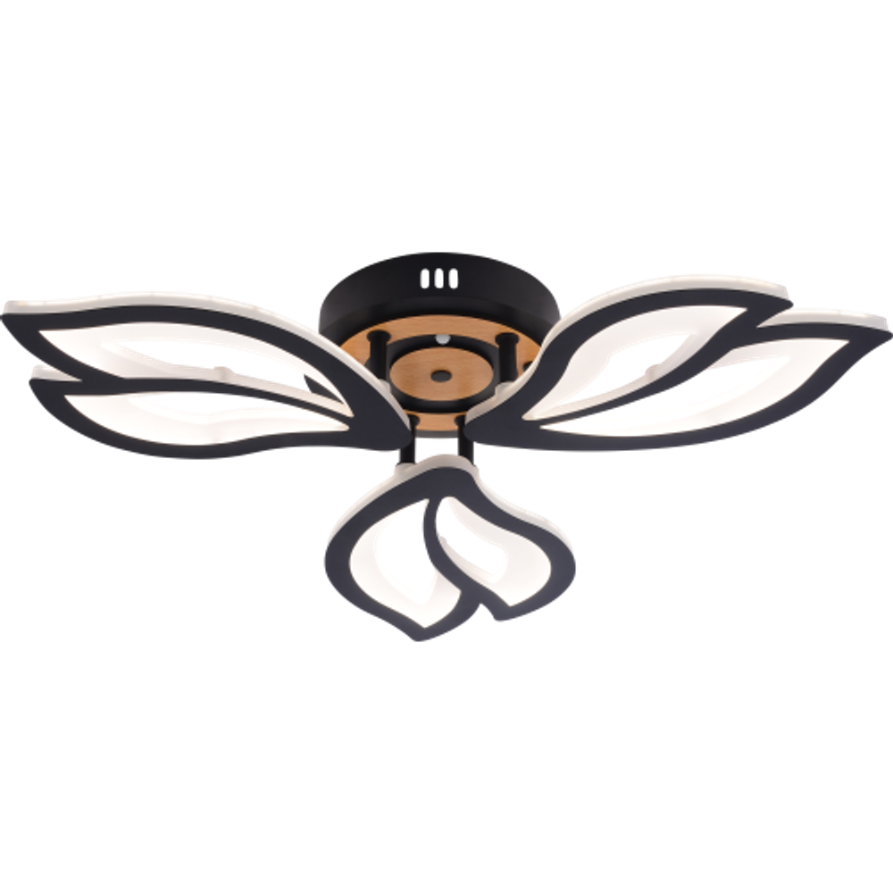 Светильник потолочный светодиодный Rivoli Lana 6195-703 LED 3000-6250К 60 Вт с пультом | Интерьерные светодиодные светильники