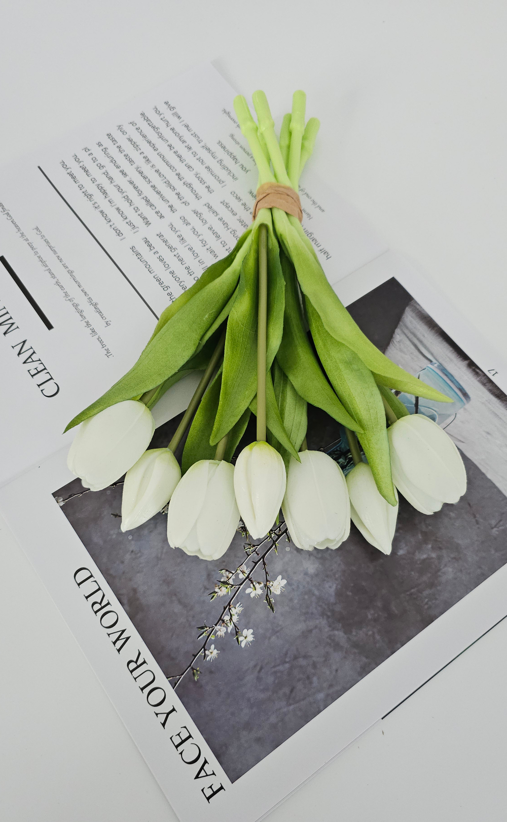 Тюльпаны 30 см 7 штук / #01 (белоснежные)