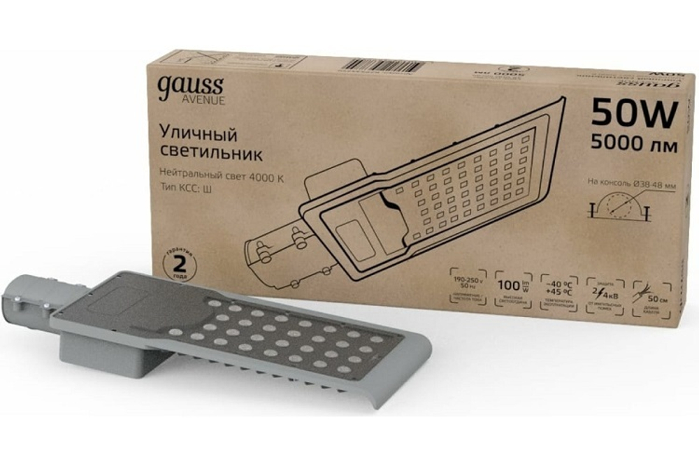 Светильник уличный Gauss 629534250