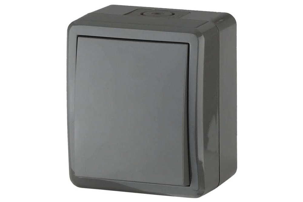 Переключатель 1-клавишный IP54, 10АХ-250В, серый Эксперт ЭРА
