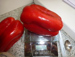 Перец Сладкий Гигантский — Big Bertha - Большая Берта