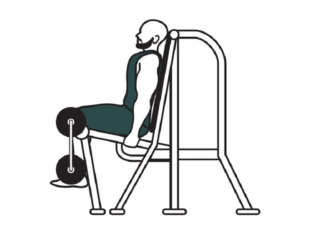 Leg Extension  тренажер для разгибания ног