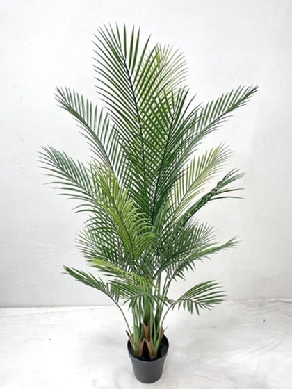 Финиковая пальма 165 см, 31 лист / Арт 3031