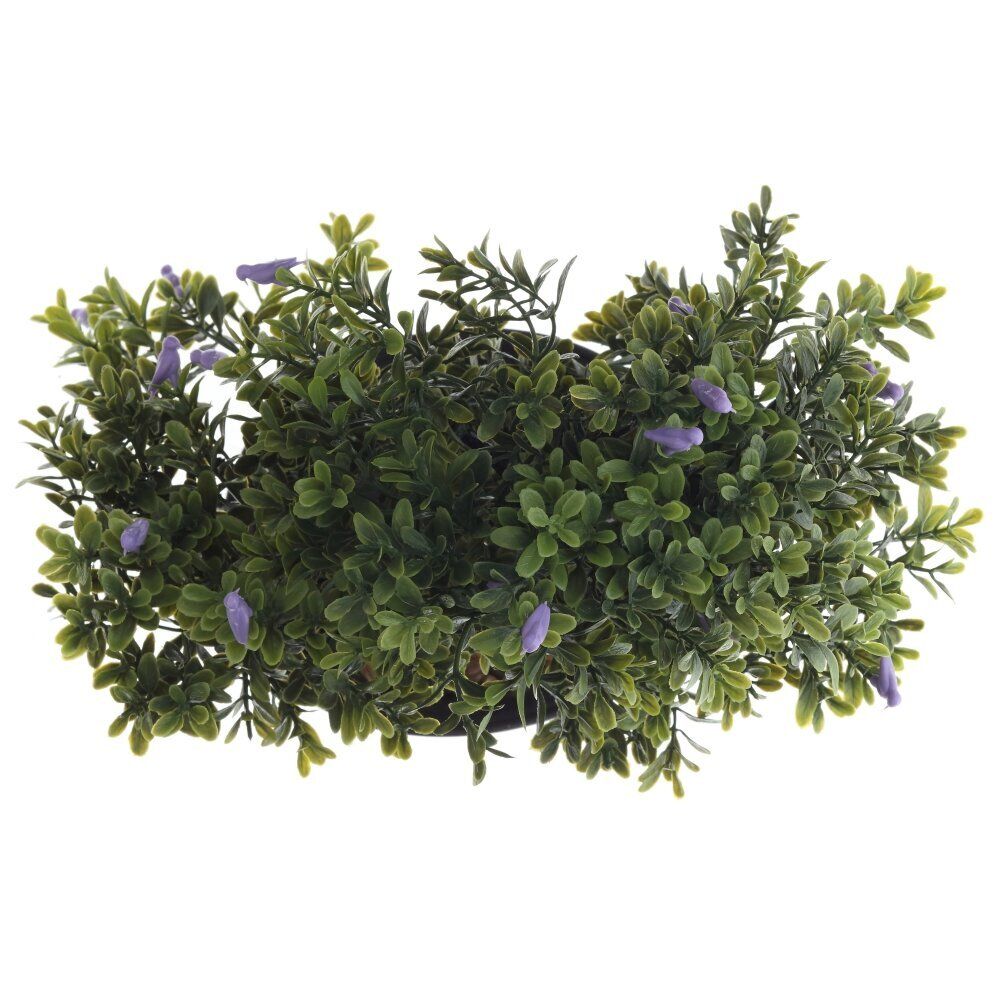 GAEM Цветочная композиция, L26 W20 H25 см