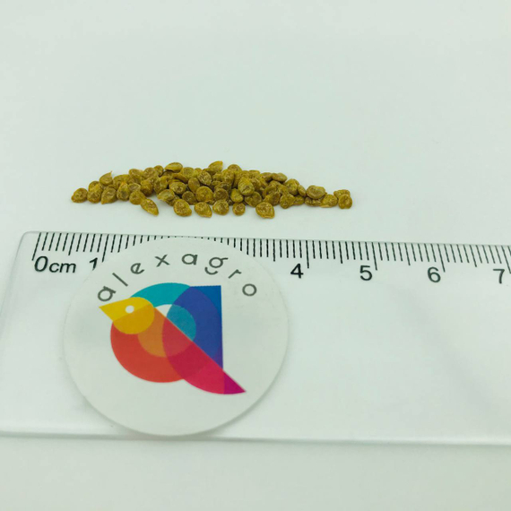 ПОЗЗАНО F1 семена томата (Enza Zaden | Alexagro) отзывы – фото 6