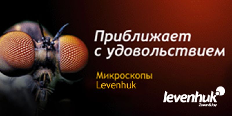 Баннеры Блок 9