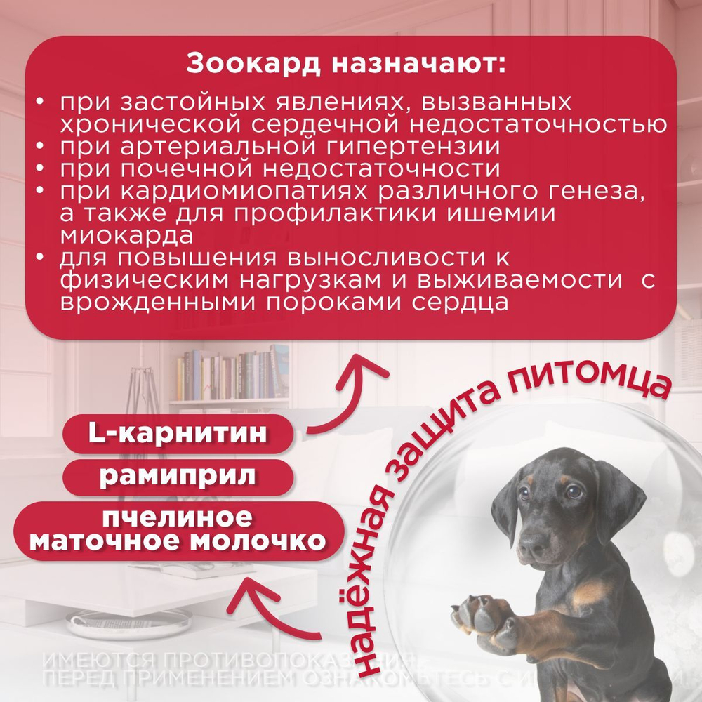 Зоокард Пчелодар Средство для лечения заболеваний сердца у собак средних пород, 2,4 мг, таблетки, 20 шт. Рамиприл.