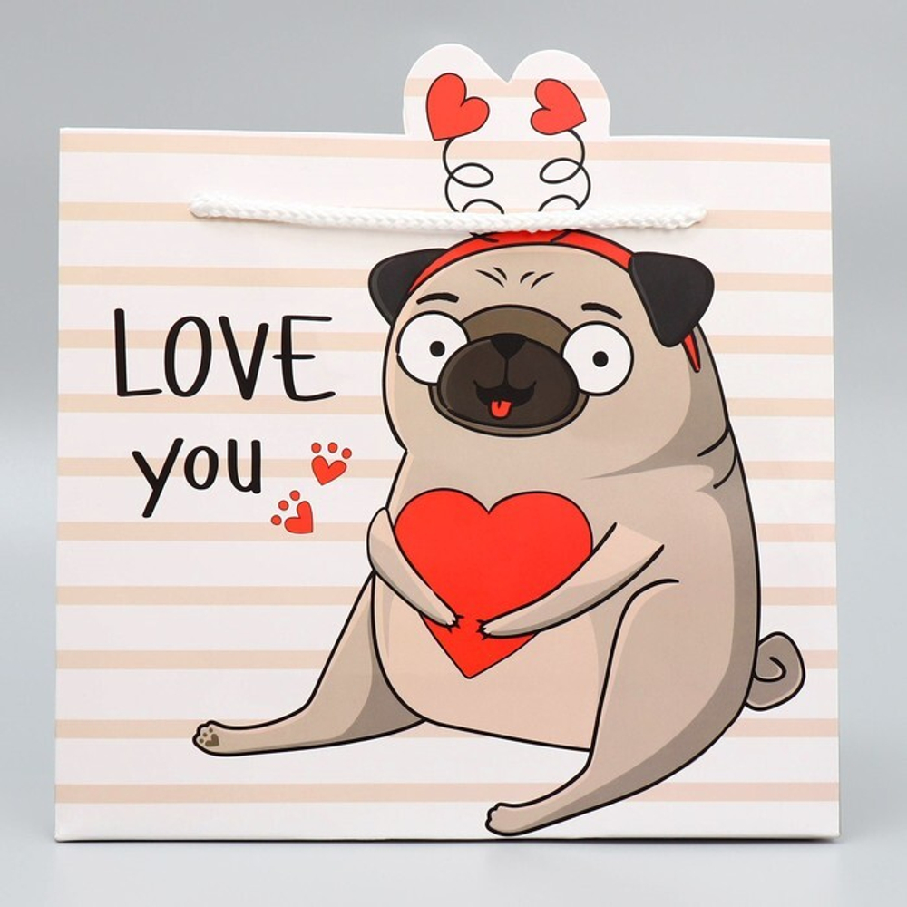 Пакет подарочный, упаковка, «Love you», 25 х 26 х 10 см.