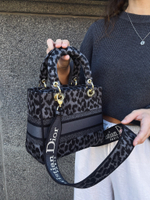 Dior Lady