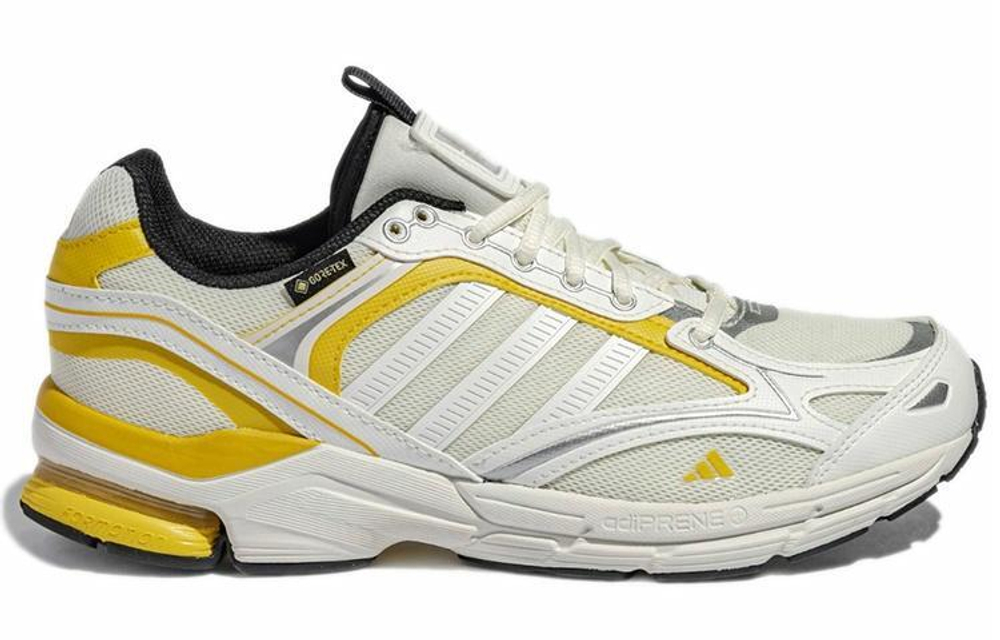 Кроссовки Adidas Spiritain 2000 Gore-Tex