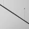Светильник Точки / Points для системы освещения Shelf 3000К 6Вт 24° Technical c149cl-l300-6w3k-b