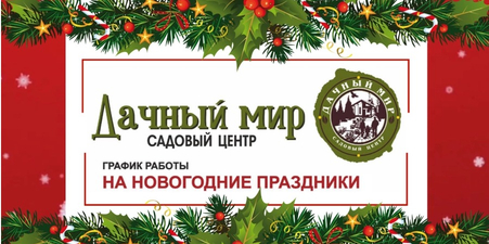 График работы на новогодние праздники 2025-2026