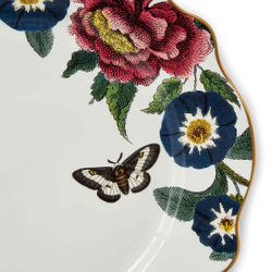 Spode - Тарелка Creatures of Curiosity 27см белая обеденная тарелка / артикул   CRCWH8950-XF  / GTIN 749151785830
