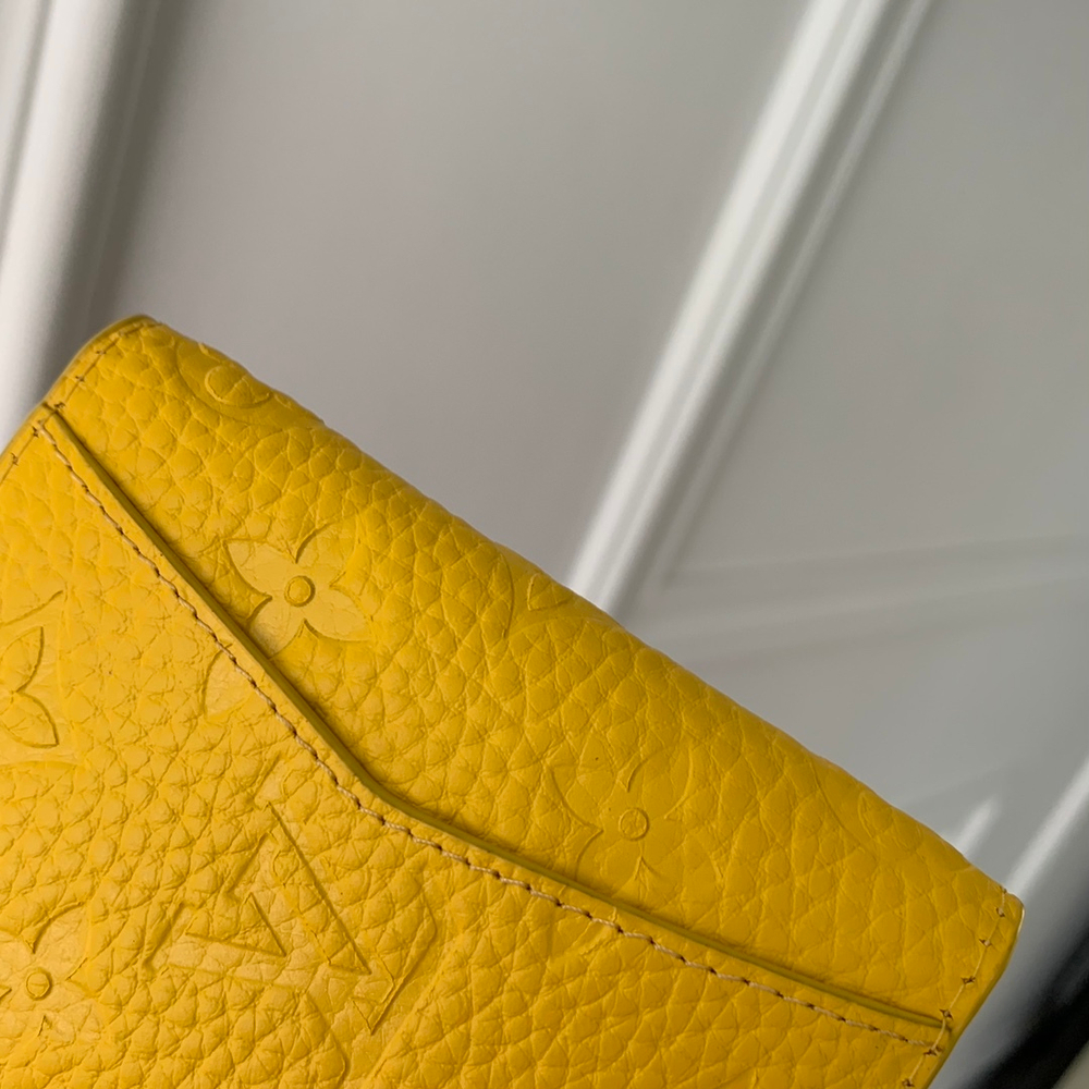 Louis Vuitton Pocket Organizer