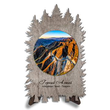 Хвойник "Чике - Таман"