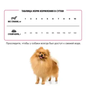 Сухой корм Karmy Sensitive Mini для взрослых собак мелких пород с чувствительным пищеварением, с лососем