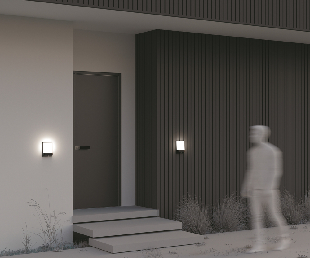 Уличный настенный светильник Outdoor O448WL-L9GF3KSR