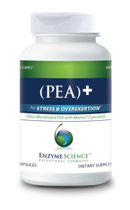 PEA + Meriva Curcumin 120 капсул Enzyme Science