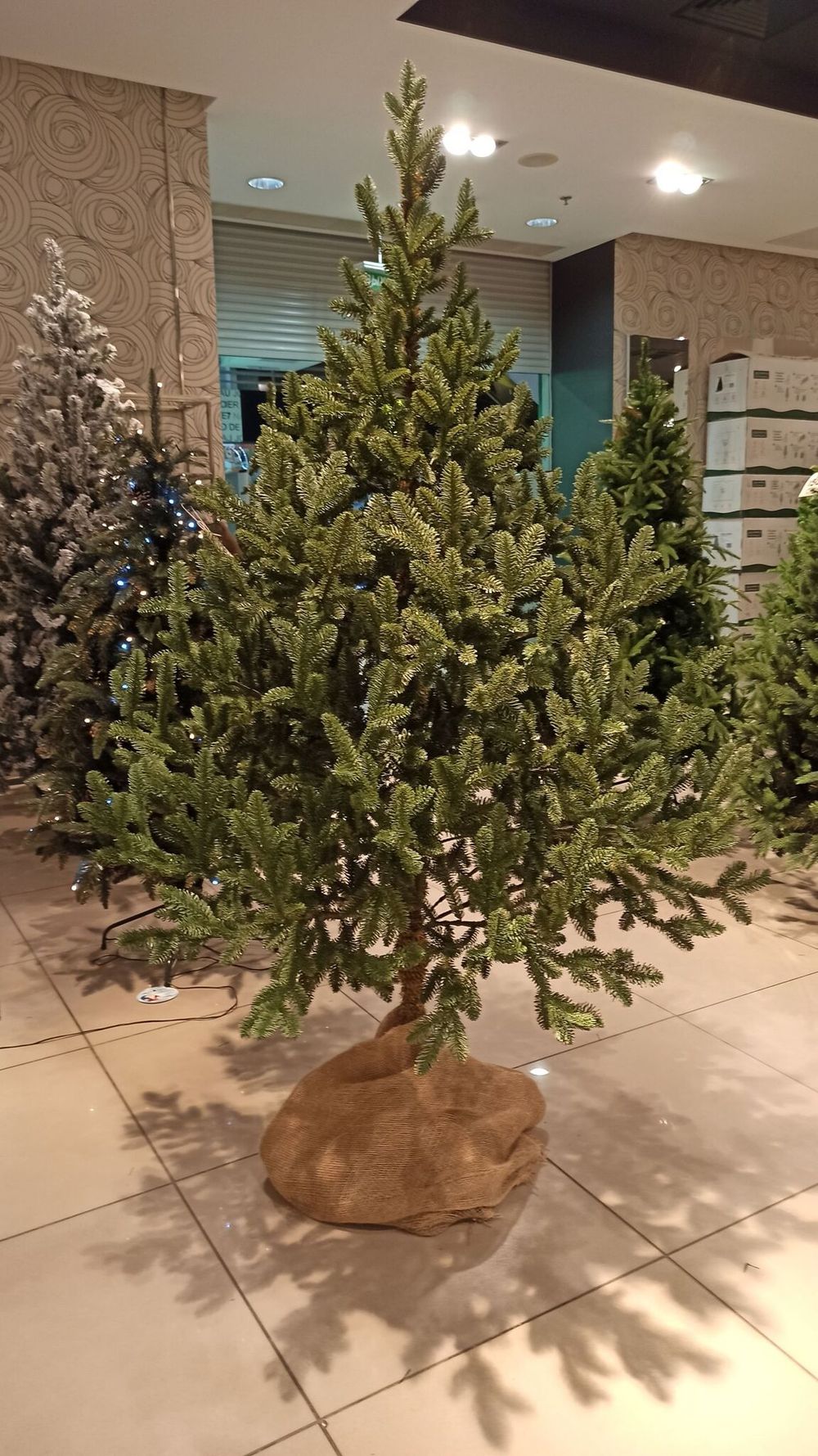 Искусственная ель на ножке «Датская» (Литая хвоя) высота от 1.2 м до 2.4 м