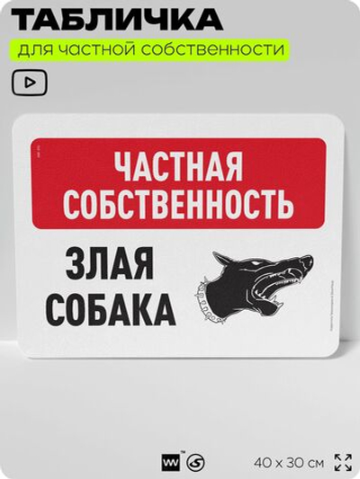 Табличка для частной территории "Частная собственность, злая собака", на дом, для участка, организаций, предупреждающая, 40х30 см, Silver Plane x Айдентика Технолоджи