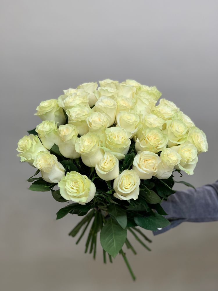 Букет 35 белых роз Эквадор 50см в ленте