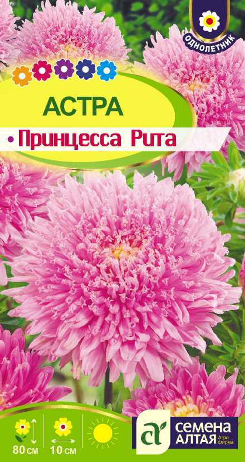 Астра Принцесса Рита 0,2 гр (Семена Алтая)