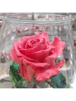 натуральная роза в стекле, вакуум*