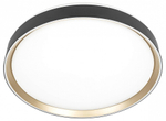 Накладной светильник Citilux BOSS CL751451G