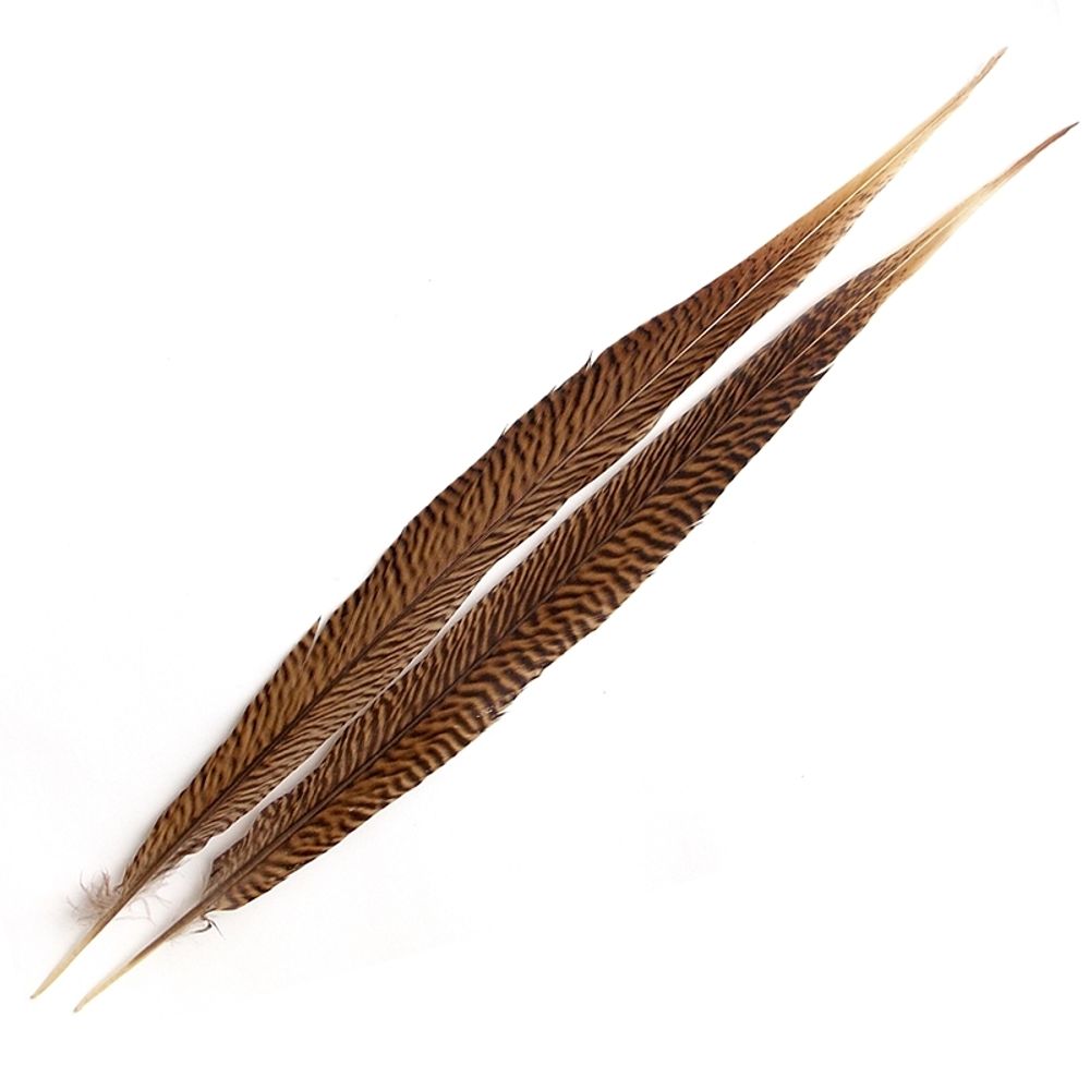 Хвостовое перо золотого фазана Gold Pheasant Centre Tail (35-40 см)