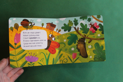 Собери цепочку. Как растет бабочка