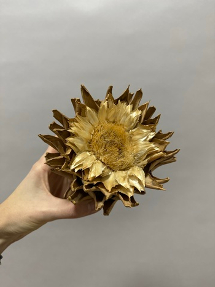 Артишок натуральный