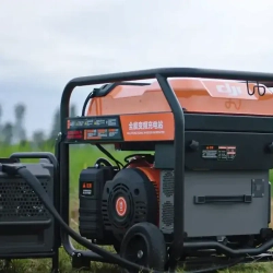 DJI D12000iE бензиновый инверторный генератор