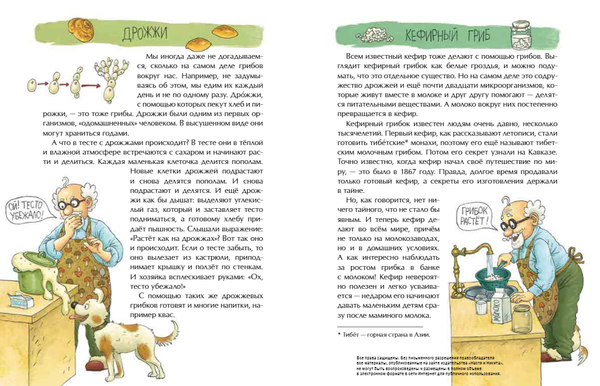 Грибное царство