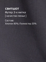 Спортивный костюм для мальчика, свитшот и брюки