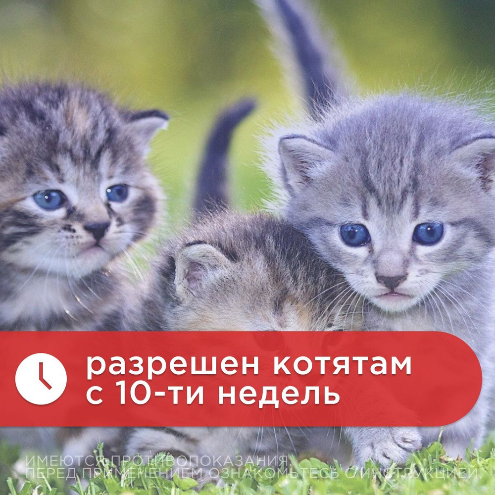 Спрей от блох, вшей и клещей АВЗ БАРС ФОРТЕ для кошек, 100 мл