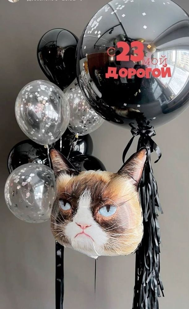 Набор шаров Сердитый кот для него