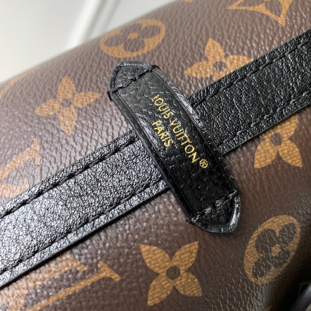Louis Vuitton CarryAll BB