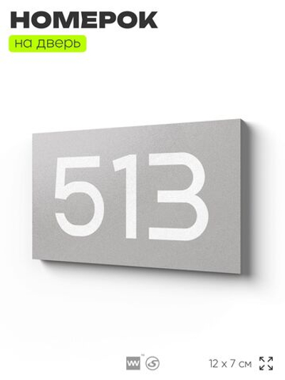 Номер на дверь 513, табличка на дверь для офиса, квартиры, кабинета, аудитории, склада, серая 120х70 мм, Айдентика Технолоджи