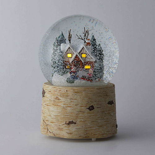 Снежные каникулы