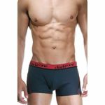 Трусы мужские боксеры темно-серые DARKZONE DZN3111