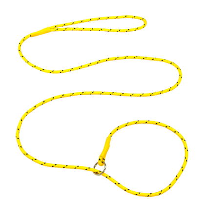 ZOONIK Поводок-удавка, капроновый шнур круглый d=6 мм, длина 1,5 метра