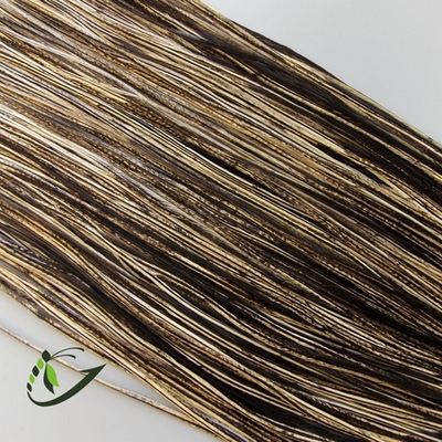 Перо из седла петуха Speckled Badger