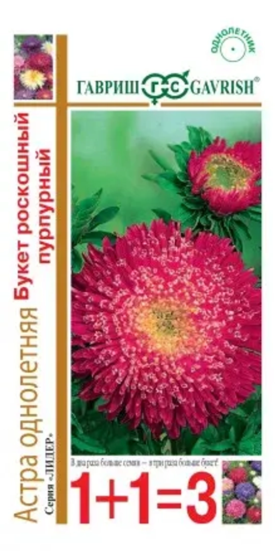 Астра семена