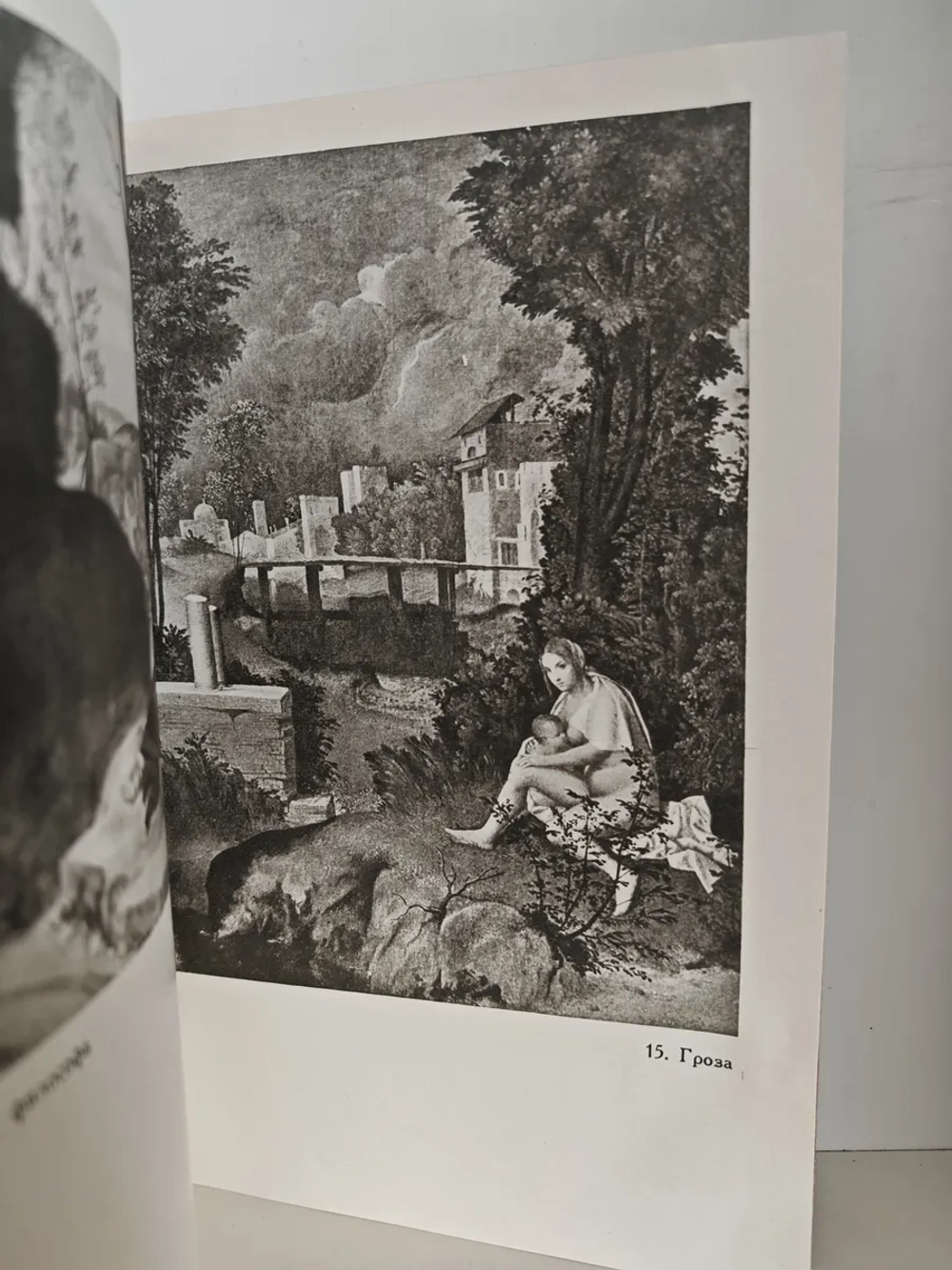 Джорджоне. Кастельфранко