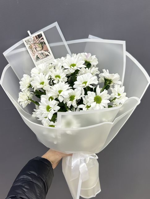 Хризантемы